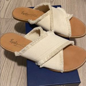 Splendid sandals